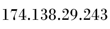 Domino369